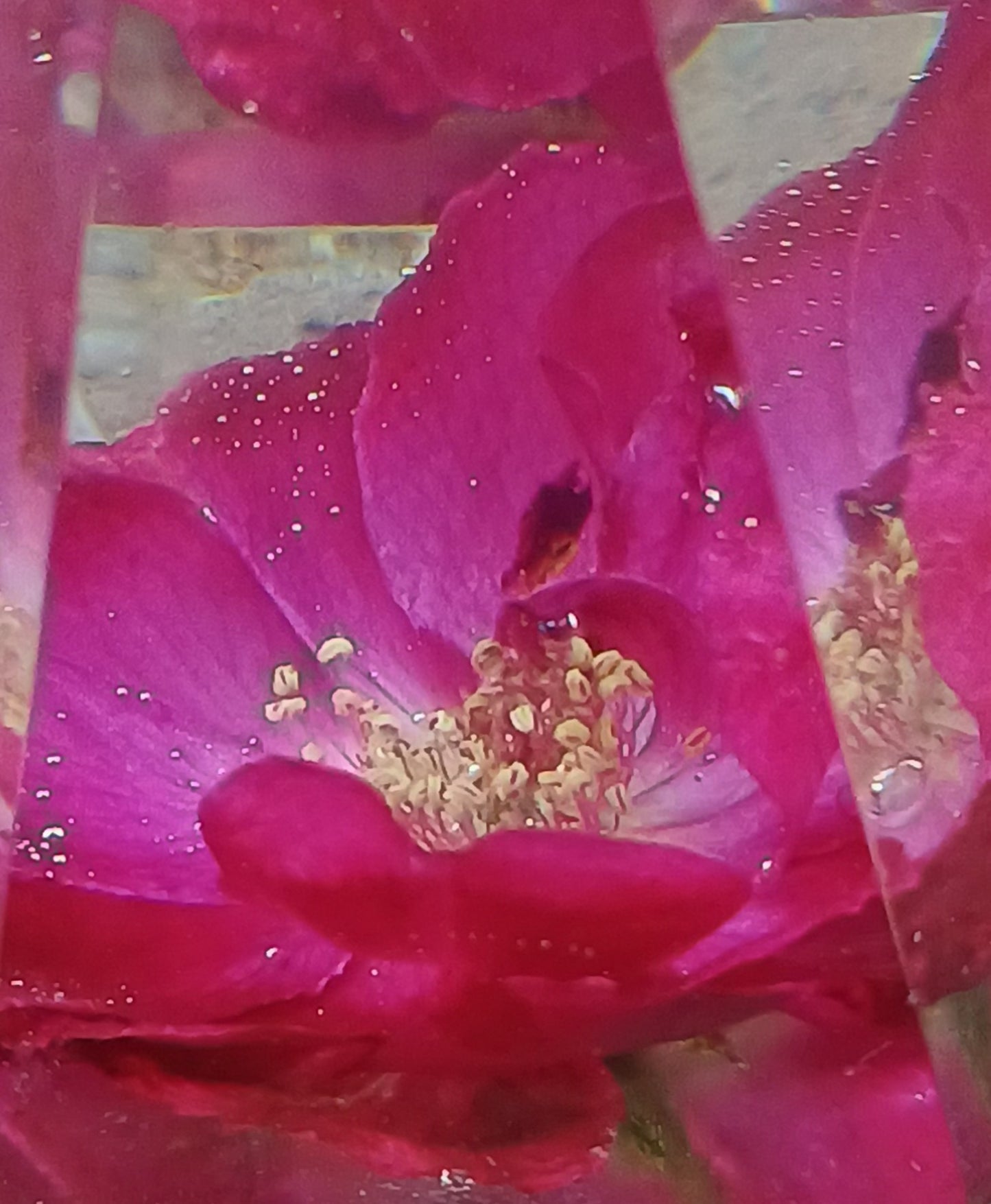 Handmade Resin Ring Holder with Wild Rose and Custom Color Options | Jewelry Display