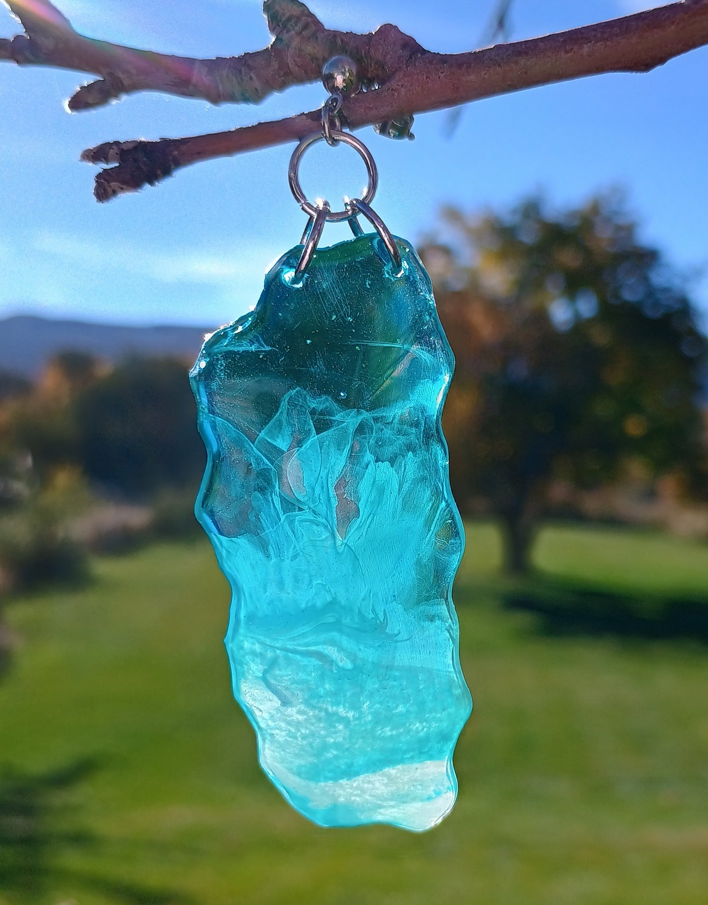 Blue crystal looking dangle earring hanging from a branch with a blurred natural background