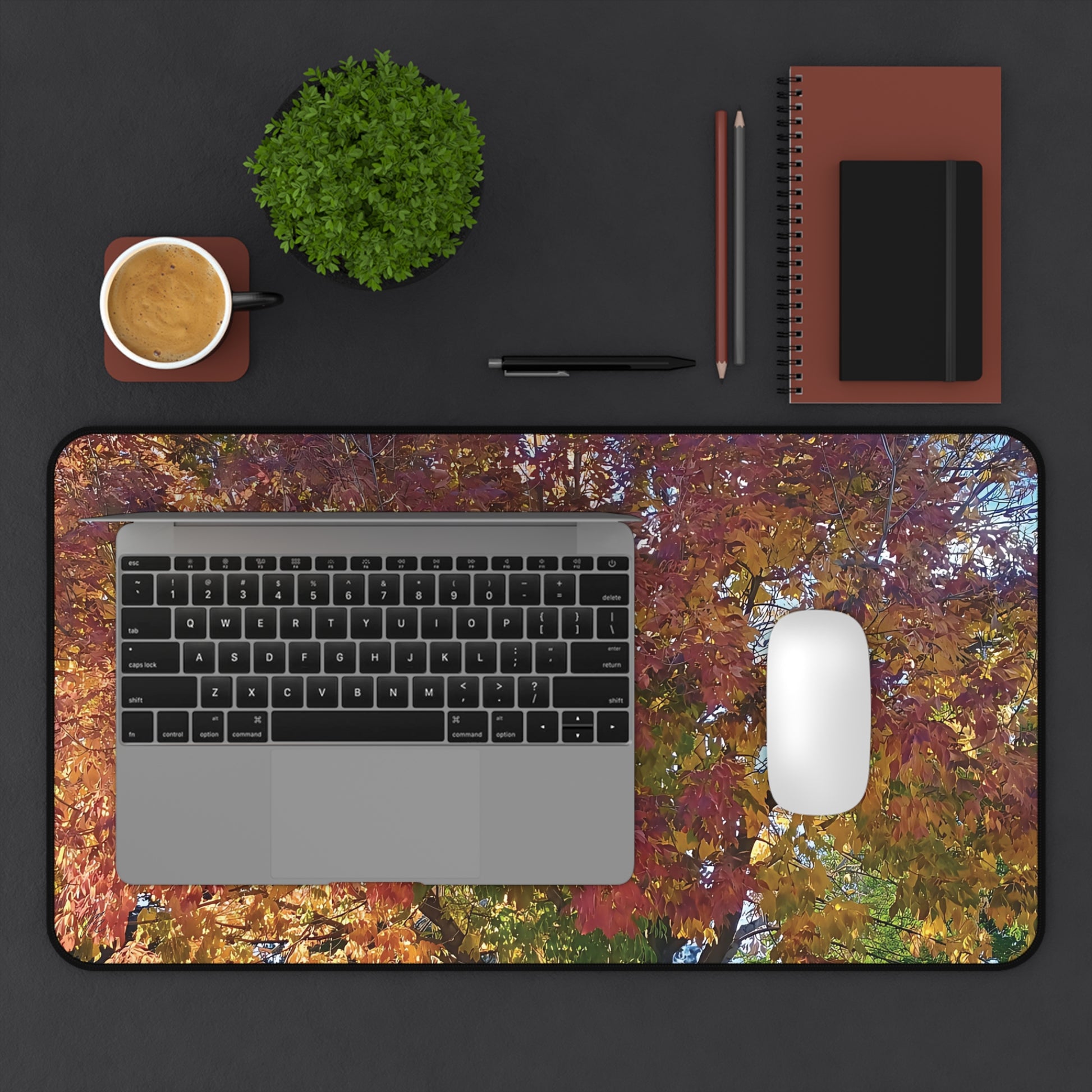 Laptop on a colorful desk mat with a cup, plant, pen, notebook, and mouse.