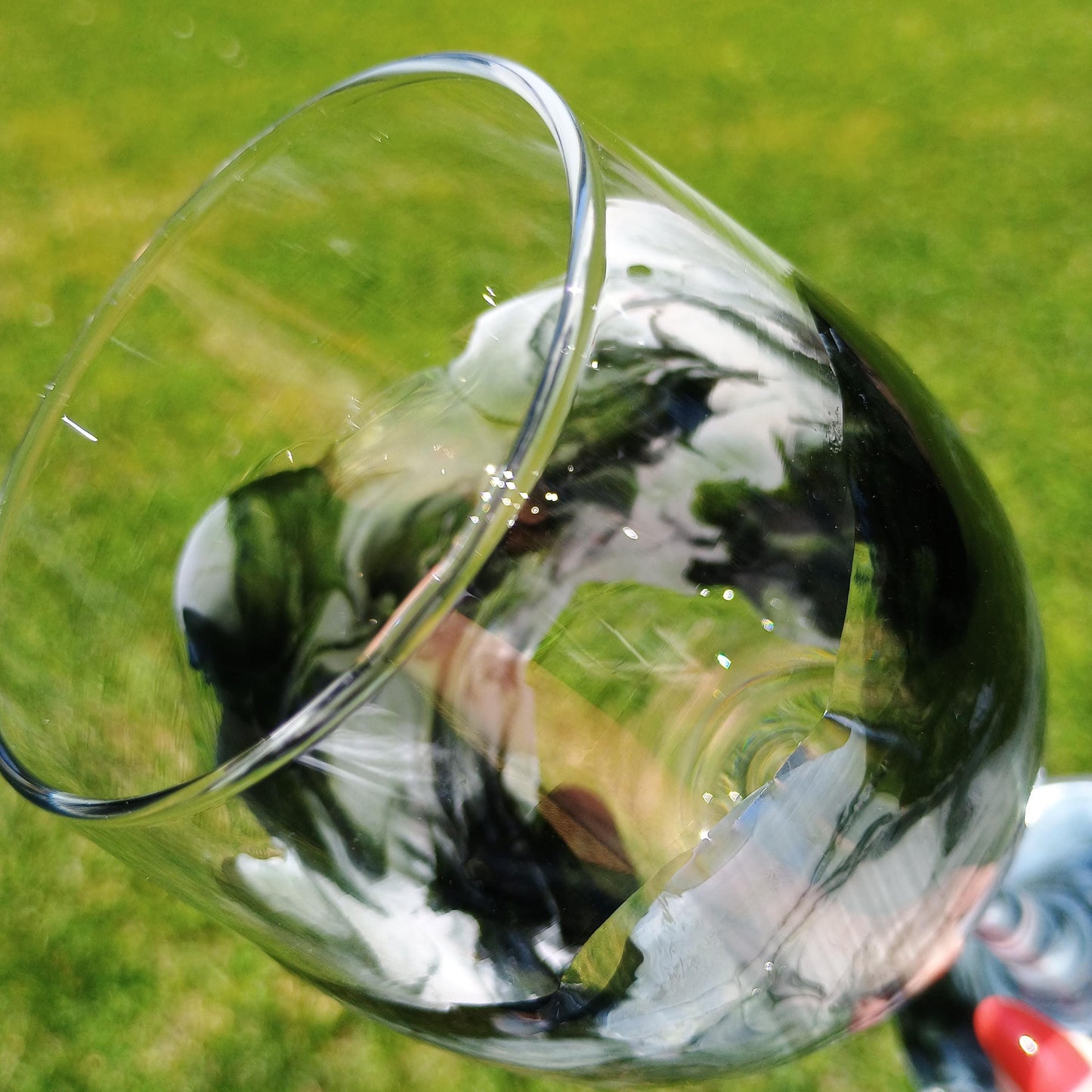 Close-up of a wine glass with a blurred green background