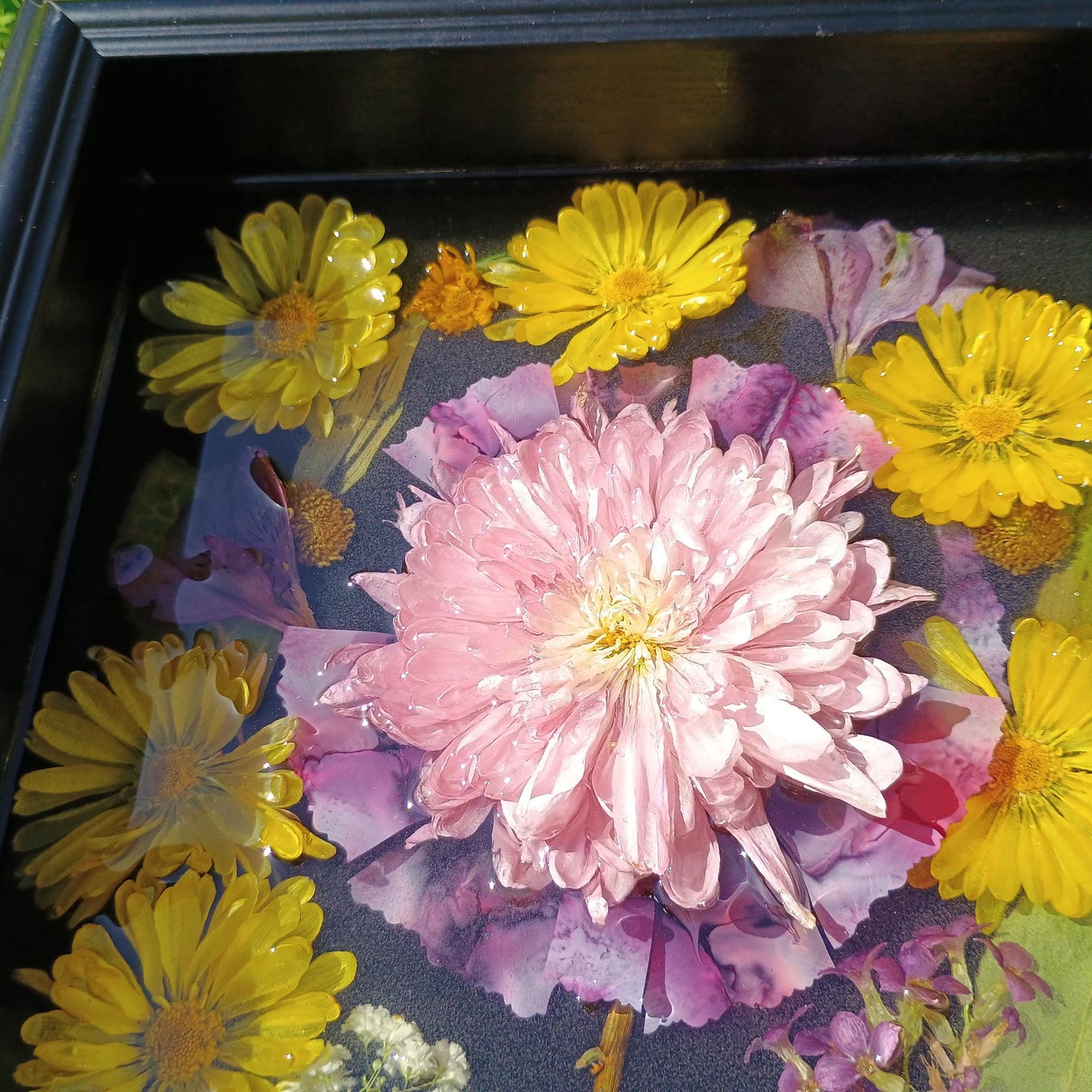Dried flowers including pink and yellow blossoms in a black frame.