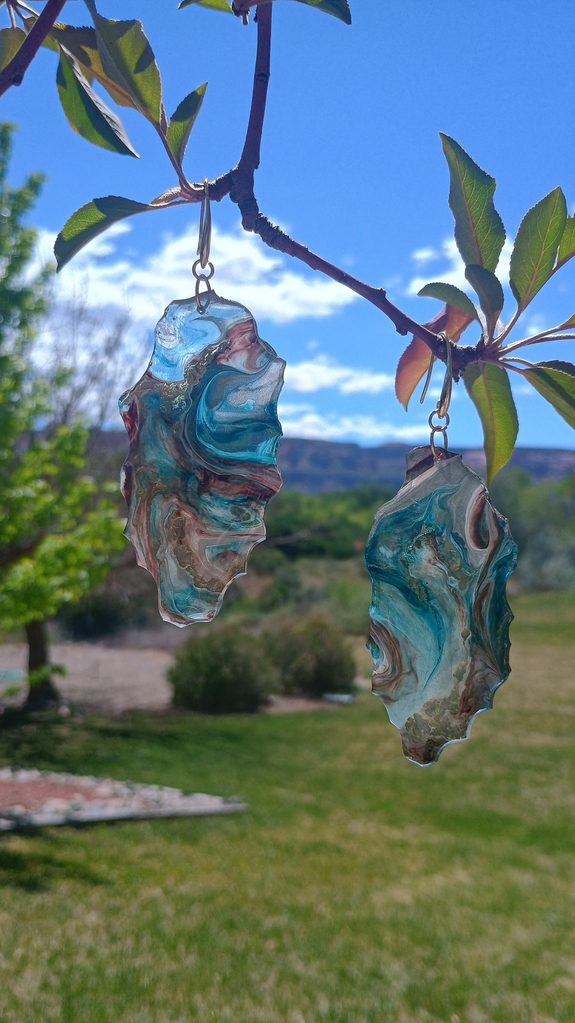 Dangle Earrings custom resin designed to be a statement piece in fashion dangling from a tree limb with the CO National Monument in the background. A Style by Jess with Gotta Have It Design
