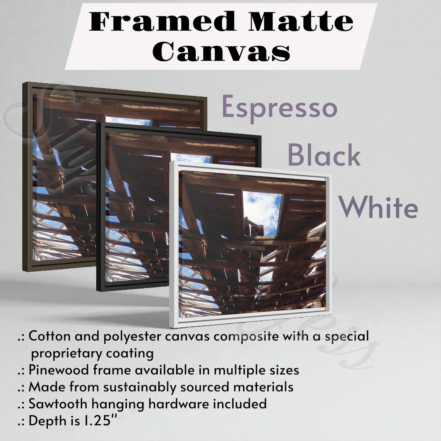 Framed matte canvas options in espresso, black, and white with product details.